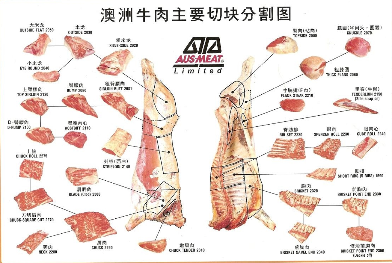 公司外观