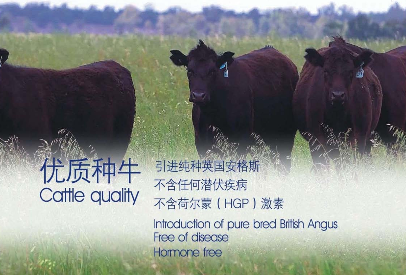 公司外观